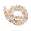 Dyed & Heated Natural Agate Beads Strands G-P539-D01-01-3
