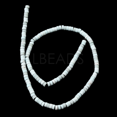 Dyed Synthetic Turquoise Beads Strands G-Z089-A04-C-1