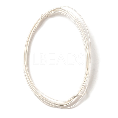 925 Sterling Silver Wire STER-D002-0.8mm-A-1