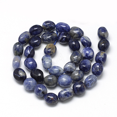 Natural Sodalite Beads Strands G-R445-8x10-04-1
