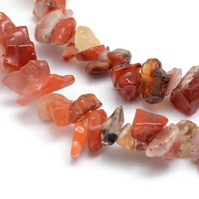 Natural Carnelian Beads Strands X-G-P332-04-1