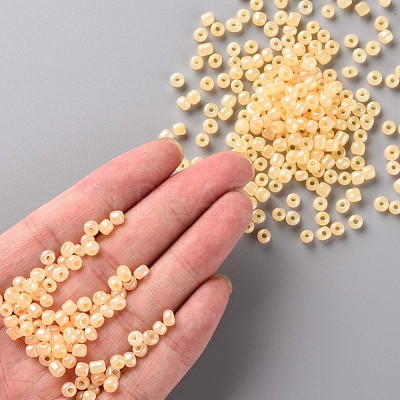 (Repacking Service Available) Glass Seed Beads SEED-C020-4mm-142-1