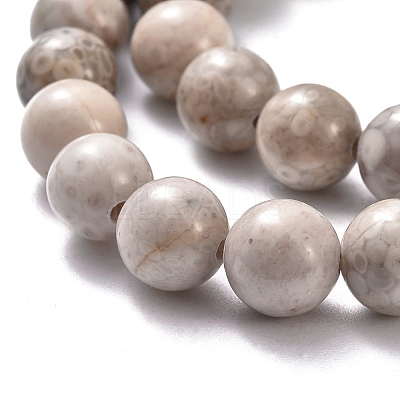 Natural Maifanite/Maifan Stone Beads Strands G-I187-8mm-01-1