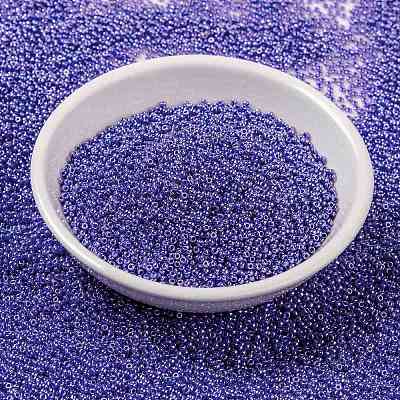 MIYUKI Round Rocailles Beads X-SEED-G009-RR0432-1