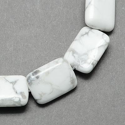 Natural Howlite Beads Strands X-G-S112-23-1