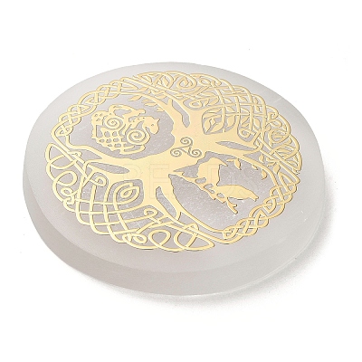 Flat Round Natural Selenite Slice Coasters AJEW-C042-01E-1