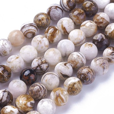 Natural America Petrified Wood Beads Strands G-P430-08-C-1