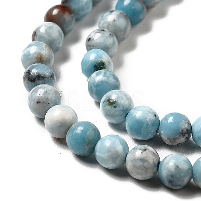 Natural Gemstone Beads Strands G-F730-02A-1