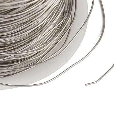 304 Stainless Steel Wire STAS-A115-01P-0.5mm-1