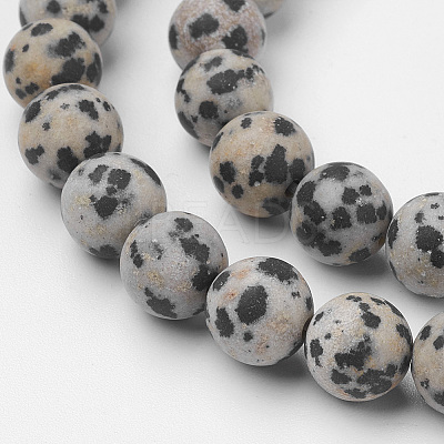 Natural Dalmatian Jasper Bead Strands G-G735-68F-8mm-1