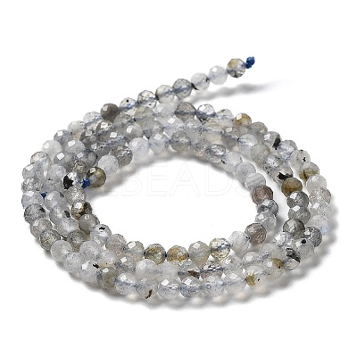 Natural Labradorite Beads Strands LS-G-I341-11-1