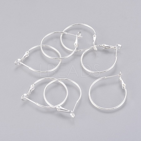 Brass Hoop Earrings EC108-5S-1