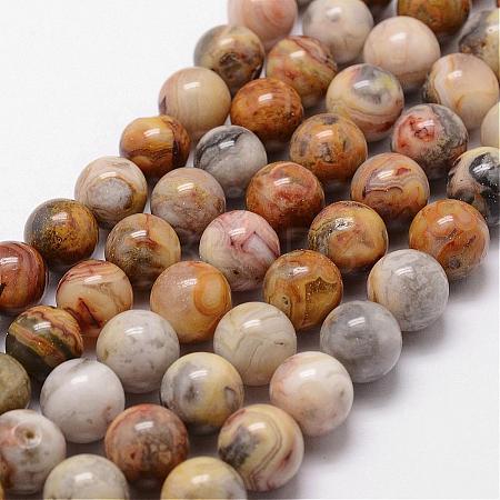 Natural Crazy Lace Agate Beads Strands G-D840-70-12mm-1