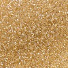 MIYUKI Delica Beads SEED-X0054-DB0100-3