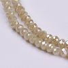 Electroplate Glass Beads Strands GLAA-F077-PL04-3