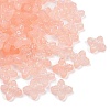 Frosted Transparent Acrylic Beads X1-OACR-P029-09B-02-2