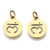 304 Stainless Steel Charms STAS-Q201-T446G-03-1
