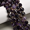 Natural Amethyst Beads Strands G-P568-B01-01-1