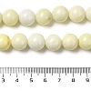 Natural Jade Beads Strands G-H298-A04-05-5