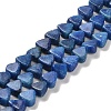 Natural Dolomite Beads Strands G-F765-H06-01-1