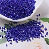 MIYUKI Delica Beads SEED-X0054-DB0216-1
