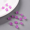 Transparent Acrylic Beads PL554-17-7