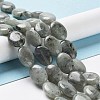 Natural Labradorite Beads Strands X-G-L164-A-34-2