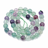 Natural Fluorite Beads Strands G-S333-10mm-006-3