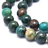 Natural Chrysocolla Beads Strands G-F715-026-3