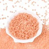 FGB Frosted Transparent Glass Seed Beads SEED-N013-02A-04-2