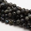 Grade AA Natural Gemstone Labradorite Faceted Round Beads Strands G-E251-32-12mm-1