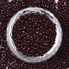 Baking Paint Glass Seed Beads X-SEED-S042-05A-03-2