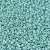 MIYUKI Delica Beads SEED-X0054-DB1576-3