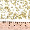 8/0 Glass Seed Beads SEED-A017-3mm-1113-3