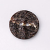 Abalone Shell/Paua Shell X-BSHE-I011-04A-4