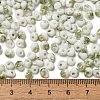 Baking Paint Glass Seed Beads X1-SEED-F006-01A-05-4