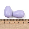 Spray Painted Wood European Beads WOOD-F017-10D-3
