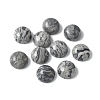 Natural Map Stone Cabochons G-Z075-06A-1