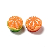Opaque Resin Imitation Food Decoden Cabochons RESI-B015-13-2