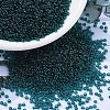 MIYUKI Round Rocailles Beads SEED-G007-RR2406-1