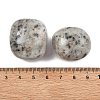 Natural Sesame Jasper Beads G-G348-01B-03-3