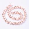 Shell Pearl Beads Strands BSHE-L035-8mm-I01-2
