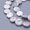 Shell Pearl Beads Strands X-BSHE-P030-01C-3