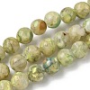 Dyed Natural Dolomite Beads Strands G-D337-8mm-D02-2