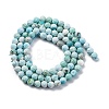 Natural HuBei Turquoise Beads Strands G-B130-A01-03-4