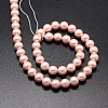 Shell Pearl Beads Strands BSHE-E008-8mm-13-2