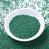 MIYUKI Delica Beads SEED-X0054-DB2127-2