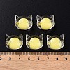 Transparent Acrylic Beads X1-MACR-S373-115-B05-5