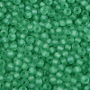 FGB Frosted Transparent Glass Seed Beads SEED-N013-04A-09-3