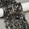 Natural Labradorite Beads Strands G-Q060-E20-02-1